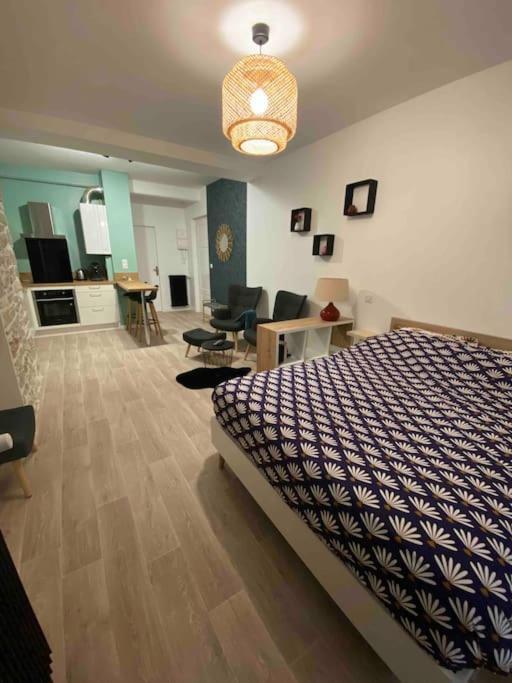 Charmant Studio Idealement Place Et Paisible ! Oloron-Sainte-Marie Εξωτερικό φωτογραφία