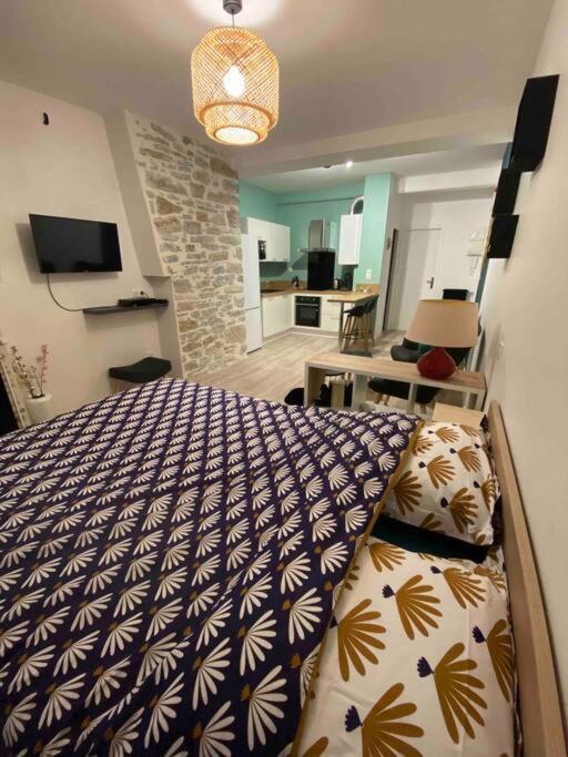Charmant Studio Idealement Place Et Paisible ! Oloron-Sainte-Marie Εξωτερικό φωτογραφία